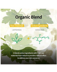 BRING GREEN Artemisia Cera Fresh Mask Sheet