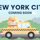 SUKOSHI is Headed to New York City!