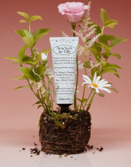 BiBiANG Perfumed Hand Cream #New York In Tilly