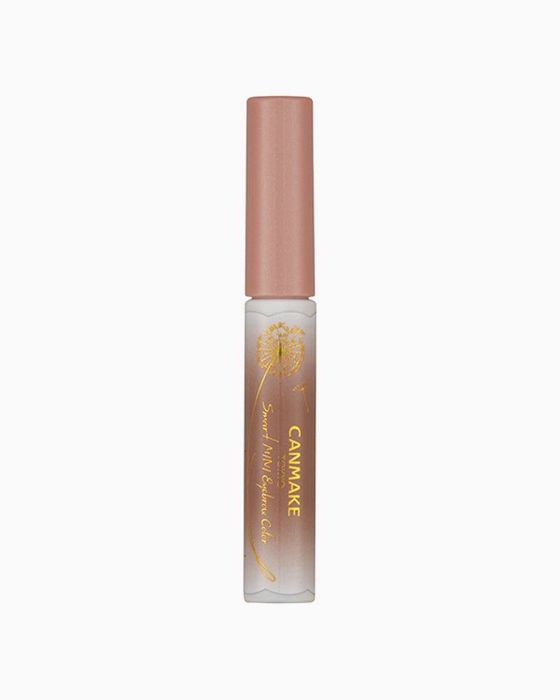 CANMAKE Smart MINI Eyebrow Color