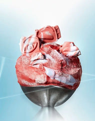 GIRLCULT Emotion Blush: Nanyang Holiday