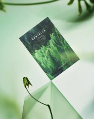 SKIN1004 Madagascar Centella Tea-Trica Relaxing Mask