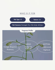 Treecell Night Collagen Shampoo Midnight Forest