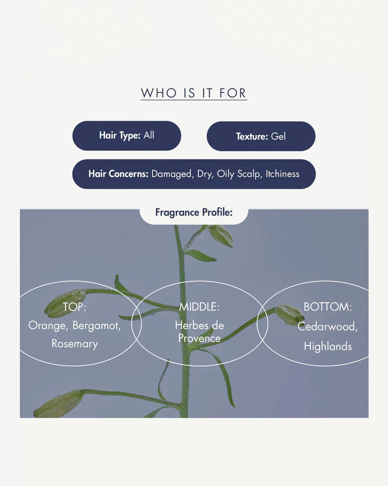 Treecell Night Collagen Shampoo Midnight Forest