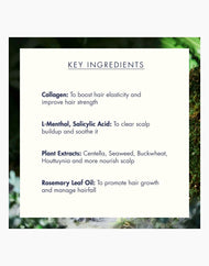 Treecell Night Collagen Shampoo Midnight Forest