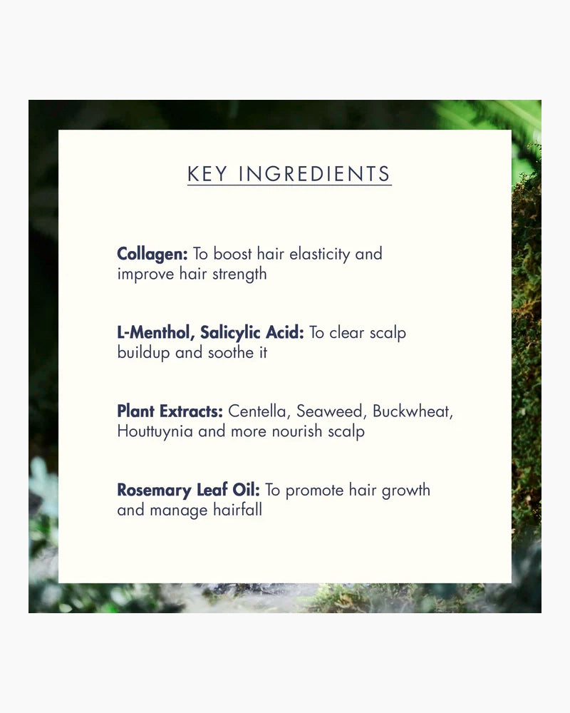 Treecell Night Collagen Shampoo Midnight Forest