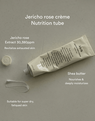 Tube nutritionnel de crème à la rose d'Abib Jericho