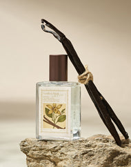 Atelier Faye Alcohol Based Perfume #Vanilla & Musk