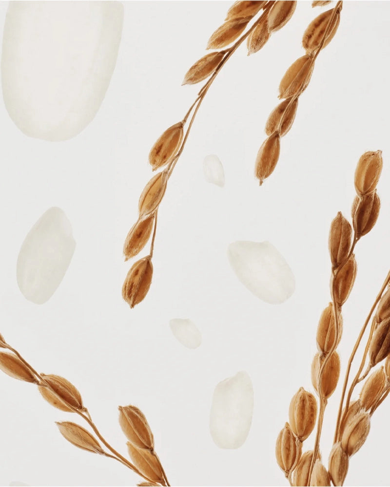 Sérum éclat profond Beauty of Joseon Riz + Alpha Arbutine