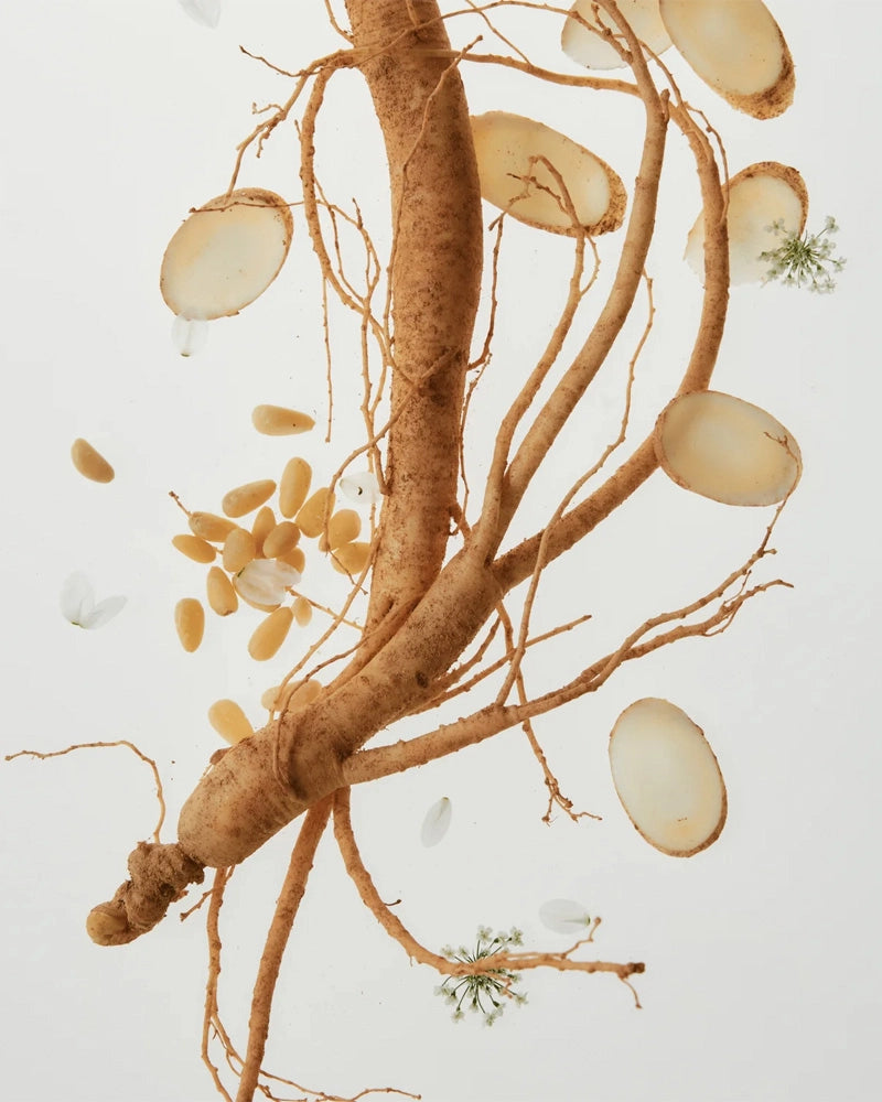 Sérum revitalisant au ginseng et à la mucine d'escargot de la marque Beauty of Joseon