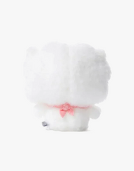 BT21 RJ BABY MY LITTLE BUDDY Bean Doll