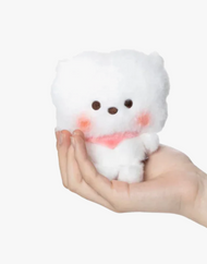 BT21 RJ BABY MY LITTLE BUDDY Bean Doll