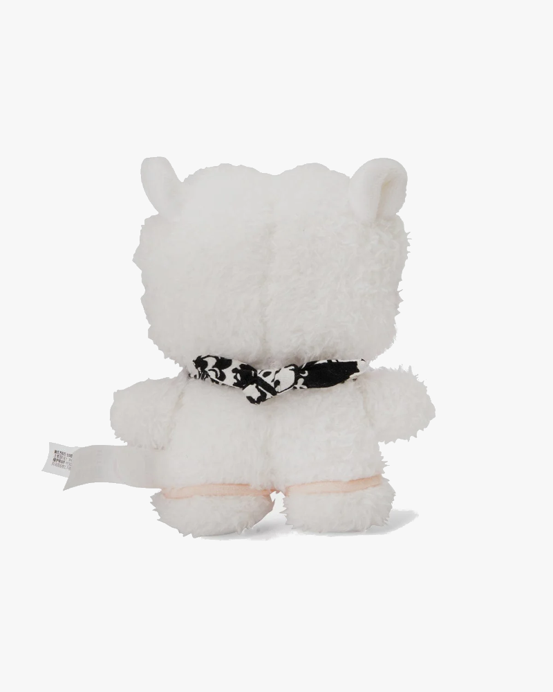 BT21 RJ minini Stereo Standing Doll