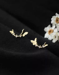 Papillons grimpeurs