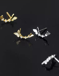 Papillons grimpeurs