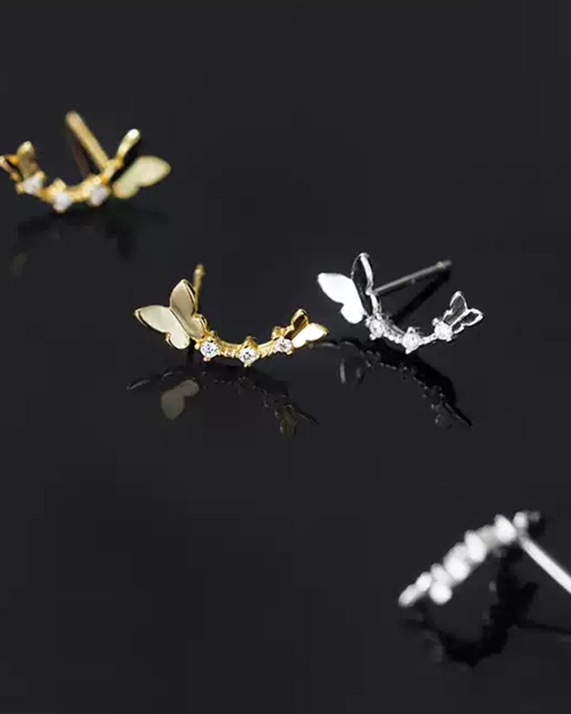 Papillons grimpeurs