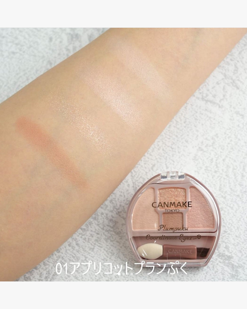 CANMAKE Plumpuku Yeux coordonnés