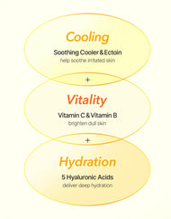 Cell Fusion C Radiance Vita Gel Cream