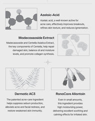 Dr.nineteen Azelaic-Centella SkinMagnet Mask