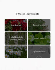 Dr. Althea Oasis Soothing Mask
