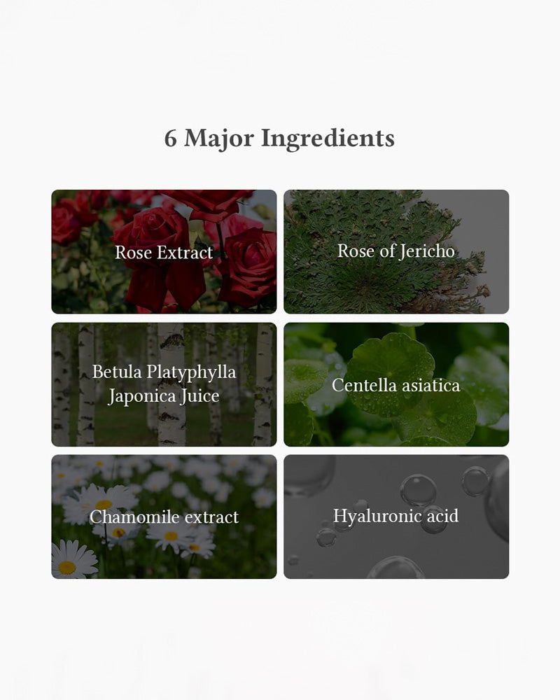 Dr. Althea Oasis Soothing Mask