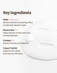 Dr. Reju-All Advanced PDRN Rejuvenating Mask