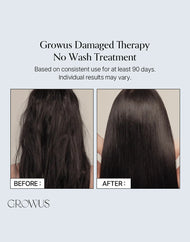 GROWUS Damage Therapy No-Wash Treatment EX
