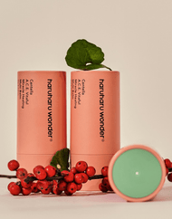 haruharu wonder Centella A.C.E. Vitaful Miracle Healing Multi Balm