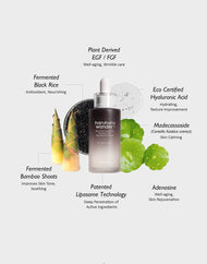 haruharu wonder Black Rice Hyaluronic Botanical 2GF Wonderful Ampoule