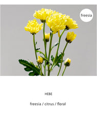 LIBER Fabric Perfume #Hebe