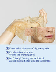 numbuzin No.4 SOS Icy Soothing Sheet Mask