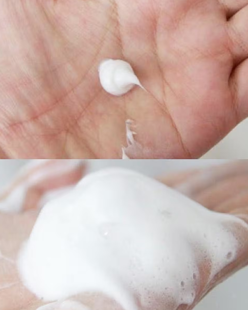 Mousse nettoyante hydratante et visage Reihaku Hatomugi