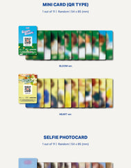 THE BOYZ - 2nd Single [Bloom Bloom] Platform Ver. (2 Versions)