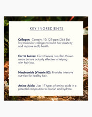 Treecell Day Collagen Shampoo Morning Of Resort