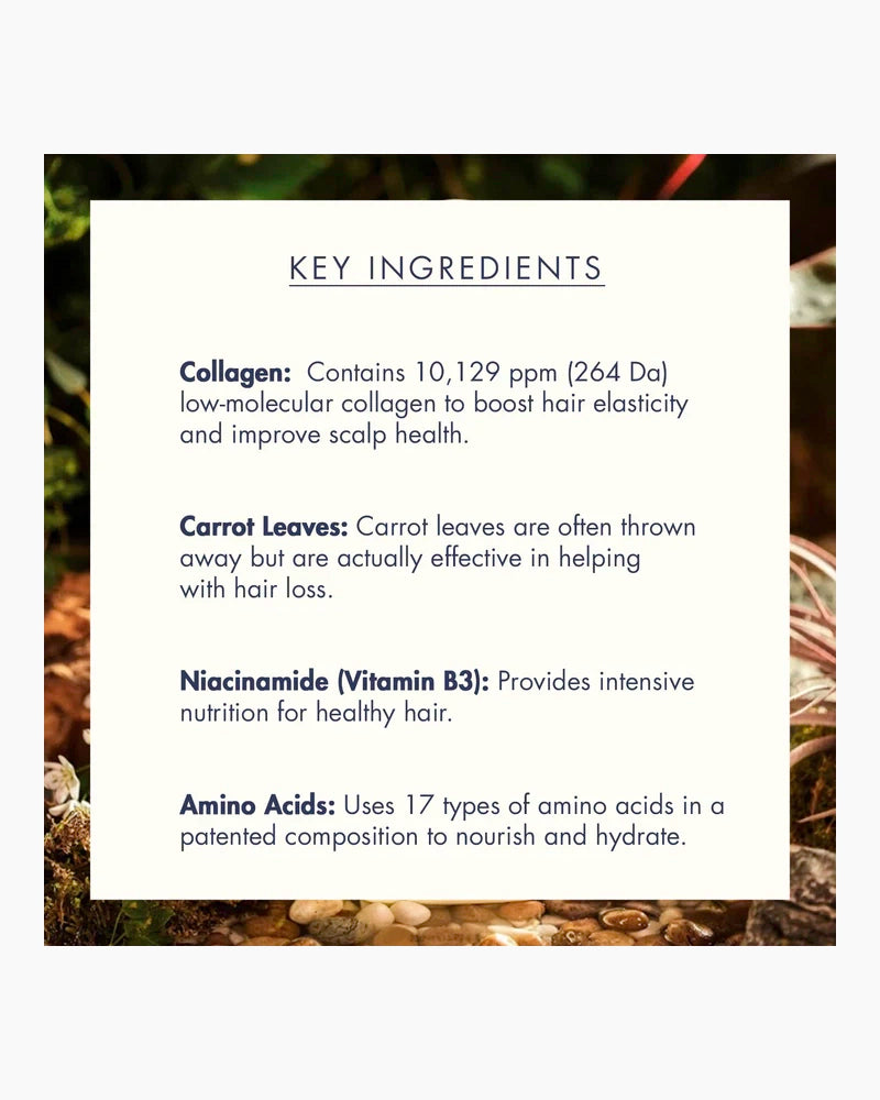 Treecell Day Collagen Shampoo Morning Of Resort