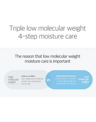 ROUND LAB 1025 Dokdo Ampoule low molecular weight infographic