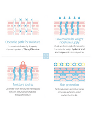 ROUND LAB 1025 Dokdo Ampoule dermatology infographic