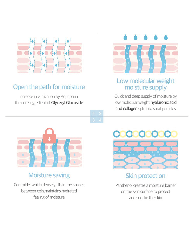 ROUND LAB 1025 Dokdo Ampoule dermatology infographic