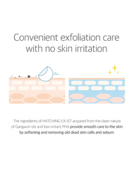 ROUND LAB 1025 Dokdo Pads exfoliation infographic