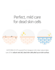 ROUND LAB 1025 Dokdo Toner skin science for effective mild exfoliation
